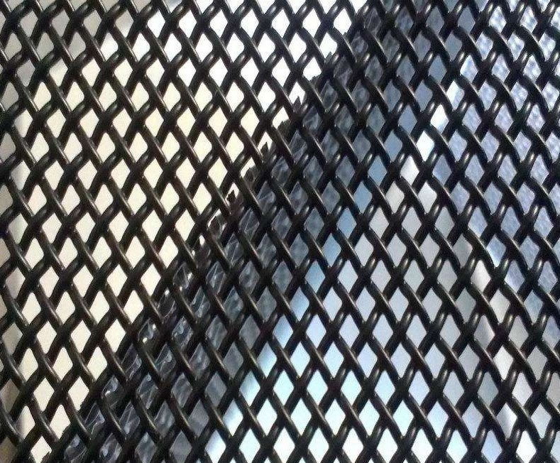 Black Powder Coated Stainless Steel Diamond Mesh Panels